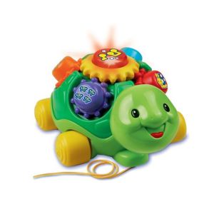 צב גלגלי שיניים