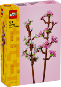 פריחת הדובדבן 40725