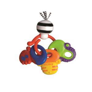 נשכן מחזיק מפתחות