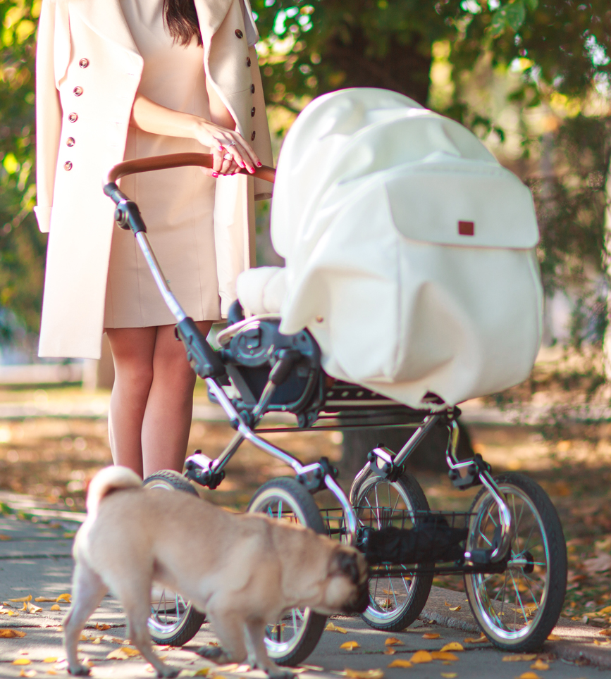 מה לבדוק לפני קניית עגלת תינוק לאורח החדש? 